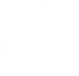 AMS logo