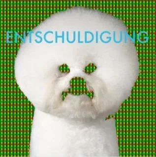 Entschuldigung