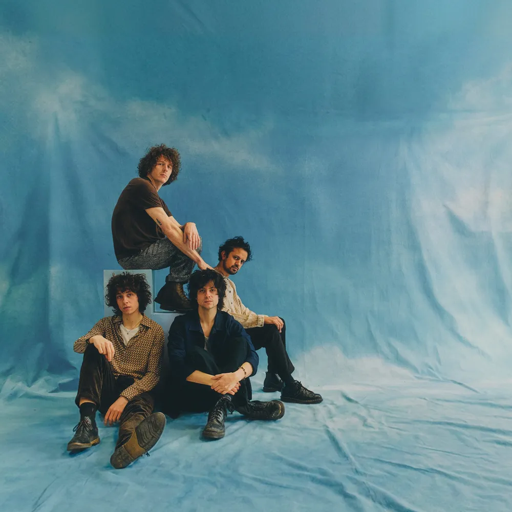 Mystery Jets