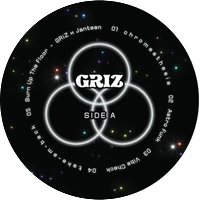 Vinyl - GRiZ - Rainbow Brain - Diggers Factory