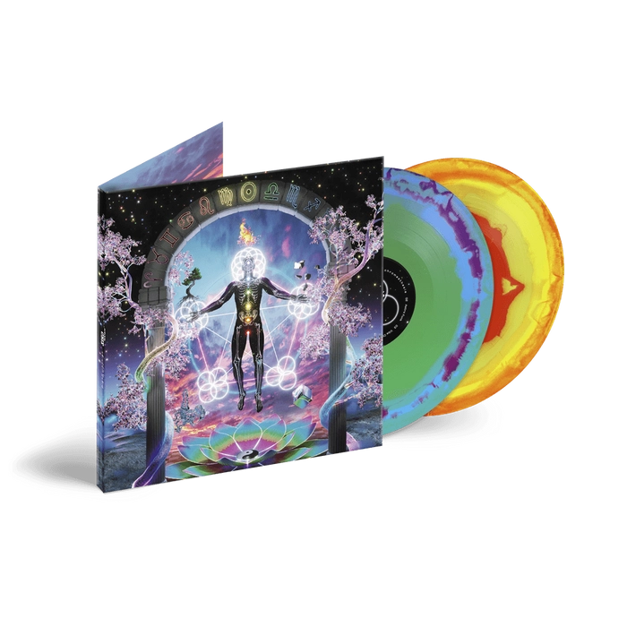 Vinyl - GRiZ - Rainbow Brain - Diggers Factory