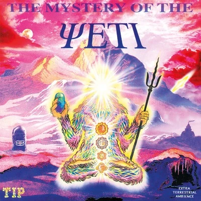 洋楽 The Mystery Of The Yeti Vinyl - Mystery Of The Yeti - The Mystery Of The Yeti - Diggers