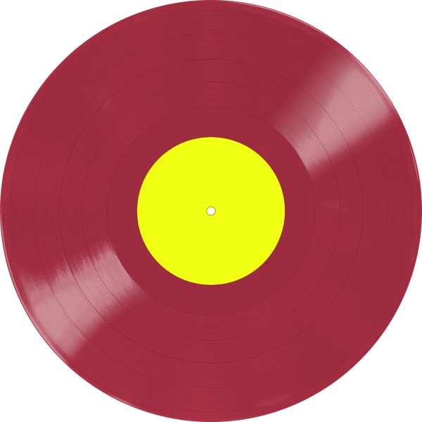 Vinyl - King Gizzard and the Lizard Wizard - Live in Newport '24