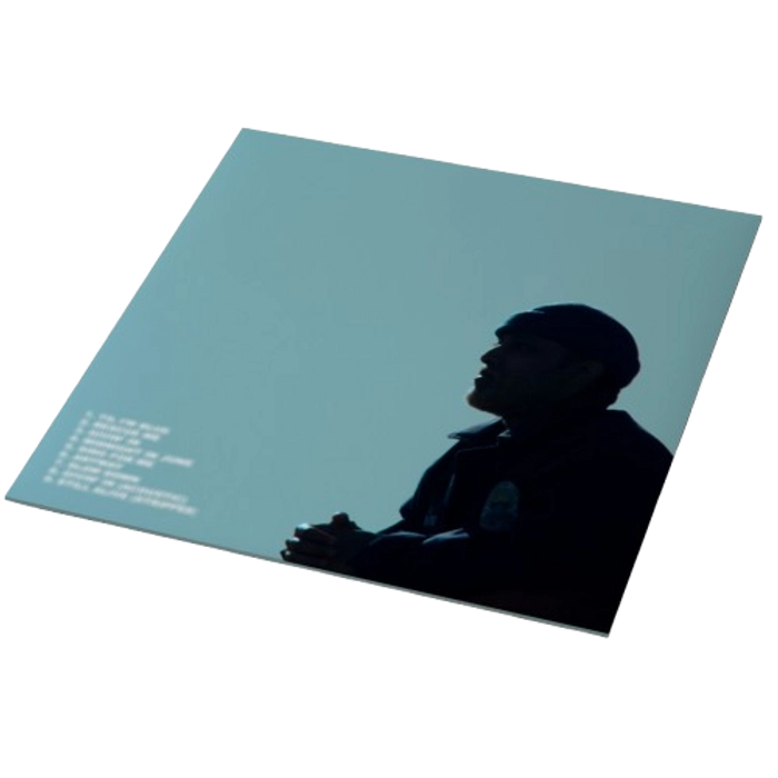 Vinyl - Alexander Nate - There's No Signal in the Mountains