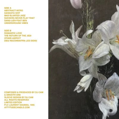 DJ Cam ‎– Underground Vibes DJ Cam – Underground Vibes – Vinyl (White , LP, Album + 2