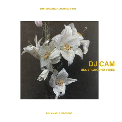 Vinyl - DJ Cam - Underground Vibes - Diggers Factory