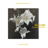 DJ Cam Underground Vibes LP レコード Vinyl - DJ Cam - Underground Vibes - Diggers Factory
