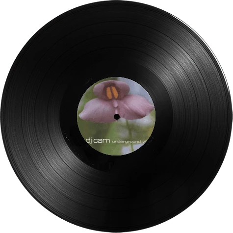 DJ Cam Underground Vibes LP レコード Vinyl - DJ Cam - Underground Vibes - Diggers Factory