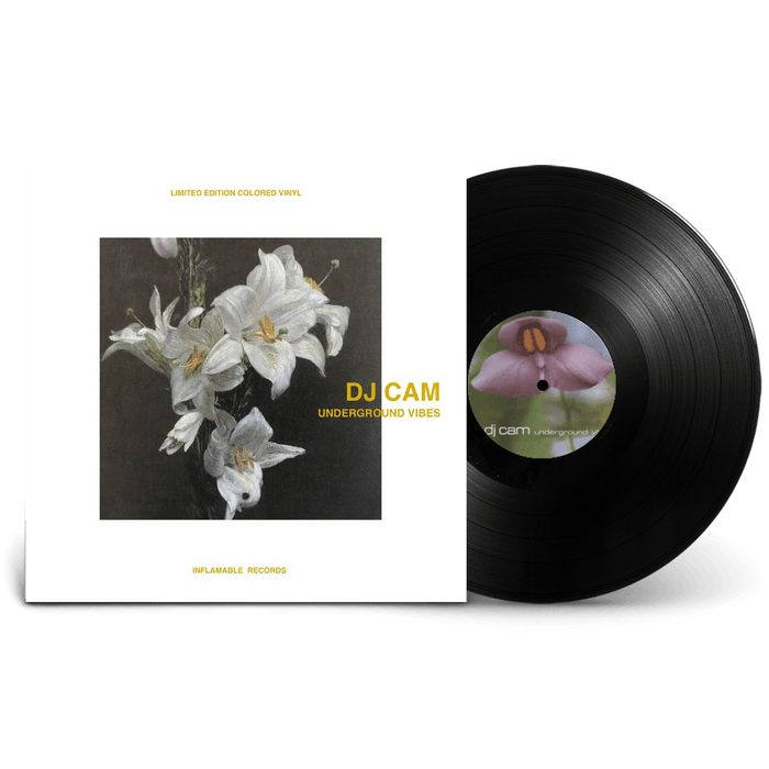 DJ Cam Underground Vibes LP レコード anBlZw.jpeg