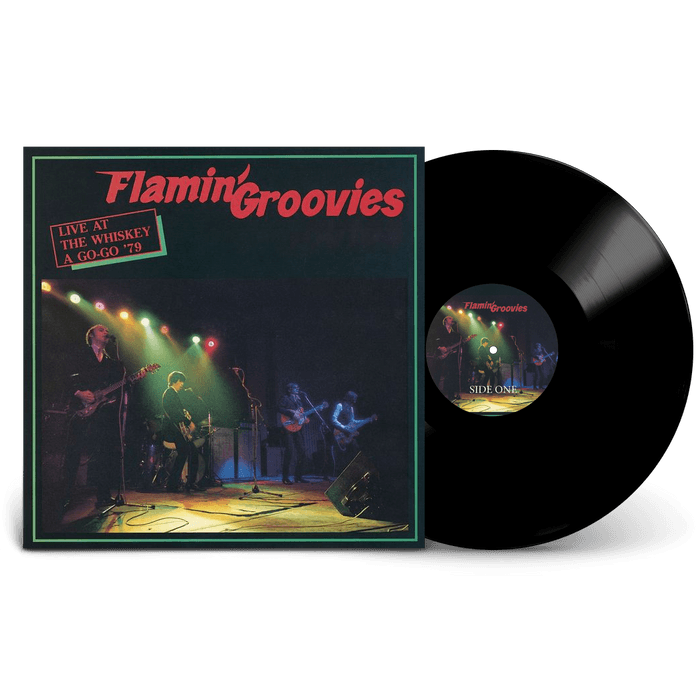 Flamin' Groovies レコード 2枚組 1972年 オリジナル Flamin