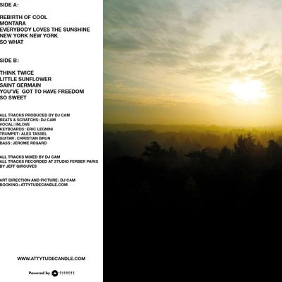 Vinyl - Dj Cam Quartet - The Essential - Diggers Factory