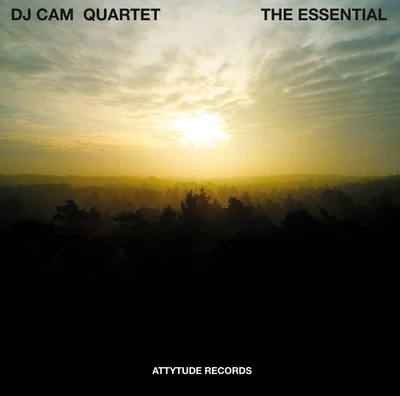 DJ Cam Quartet The Essential 新品未開封 Vinyl - Dj Cam Quartet - The Essential - Diggers Factory