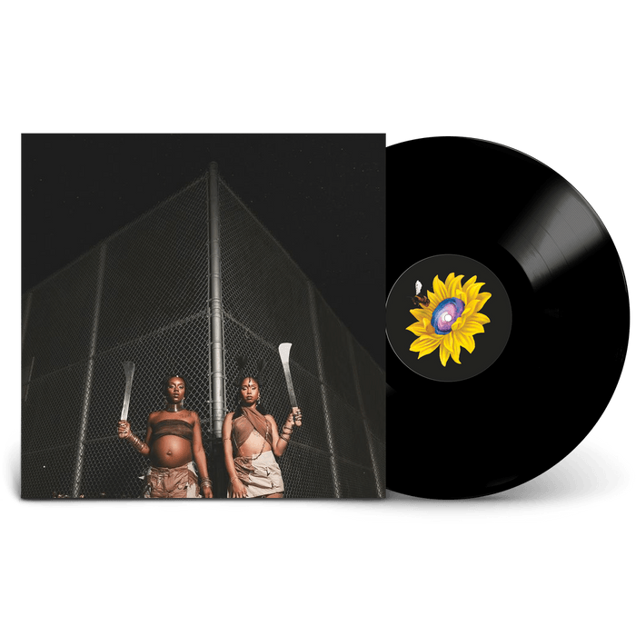 MOTON RECORDS / INCVarious – Y U Fall Y U Fall – Vinyl (12