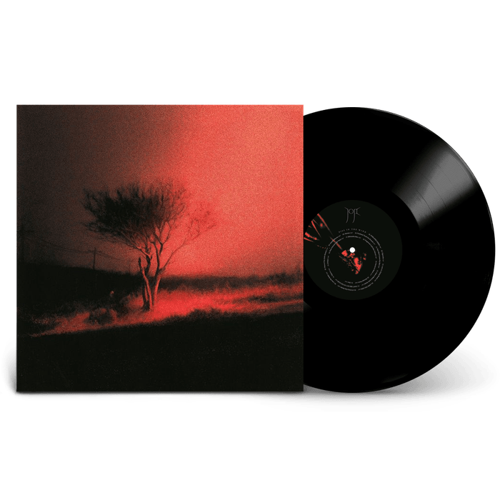 Vinyl - Joji - Piss In The Wind Vinyl