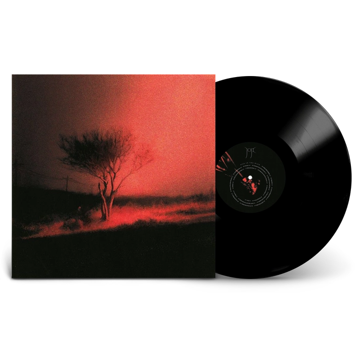 Vinyl - Joji - Piss In The Wind Vinyl - Virgin Music Group