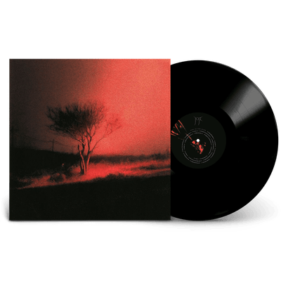 Vinyl - Joji - Piss In The Wind Vinyl