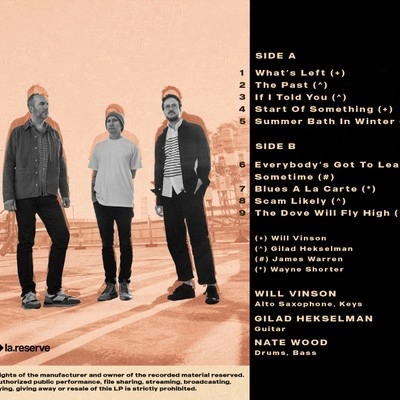 【限定LP】Gilad Hekselman 『TRIO GRANDE』 レコード Vinyl - Trio Grande - What's Left - Diggers Factory