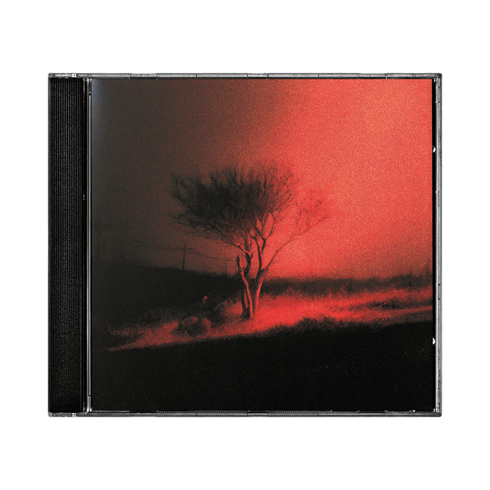 Cd - Joji - Piss In The Wind CD