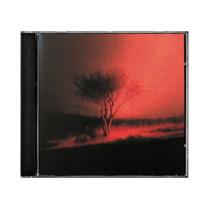 Cd - Joji - Piss In The Wind CD - Joji