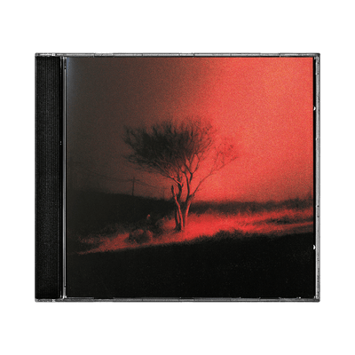 Cd - Joji - Piss In The Wind CD