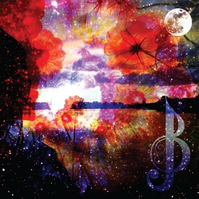 Vinyl - Jesse Boykins III - The Beauty Created - Limited Edition