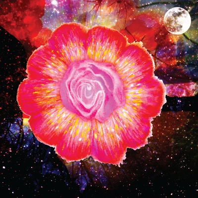 Vinyl - Jesse Boykins III - The Beauty Created - Limited Edition