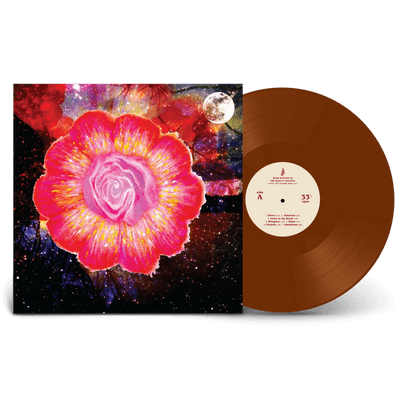 Vinyl - Jesse Boykins III - The Beauty Created  - Limited Edition
