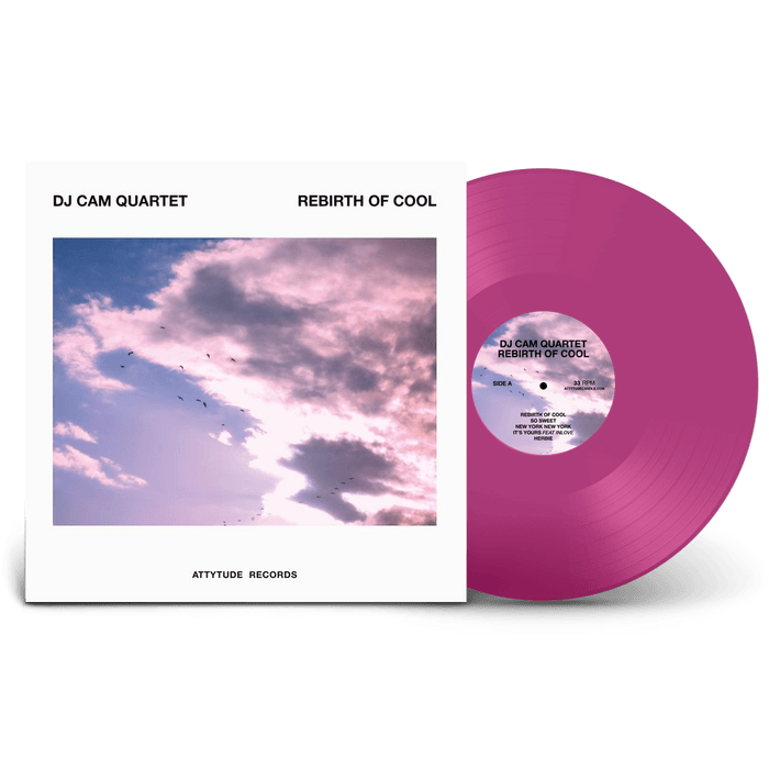 Vinyl - DJ CAM - REBIRTH OF COOL - Diggers Factory