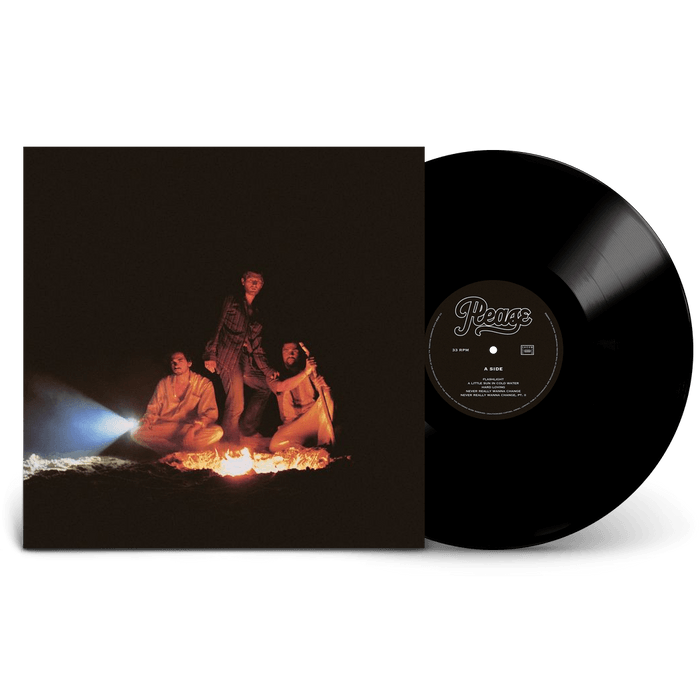 Vinyl - Please - Flashlight