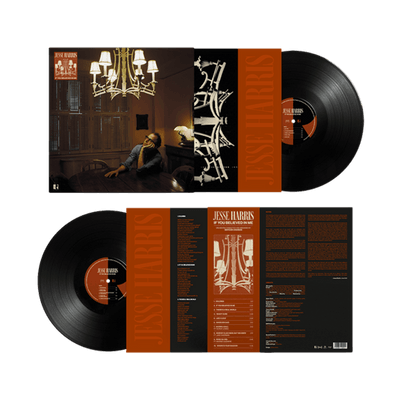 Vinyl - Jesse Harris - If You Believed in Me