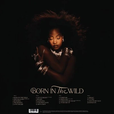 Vinyl - Tems - Born in the Wild [Standard Edition] - Diggers Factory