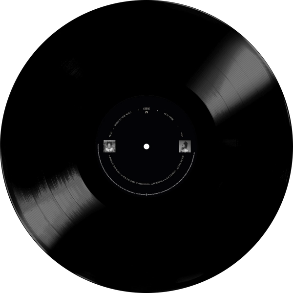 Vinyl - Tems - Born in the Wild [Standard Edition] - Diggers Factory