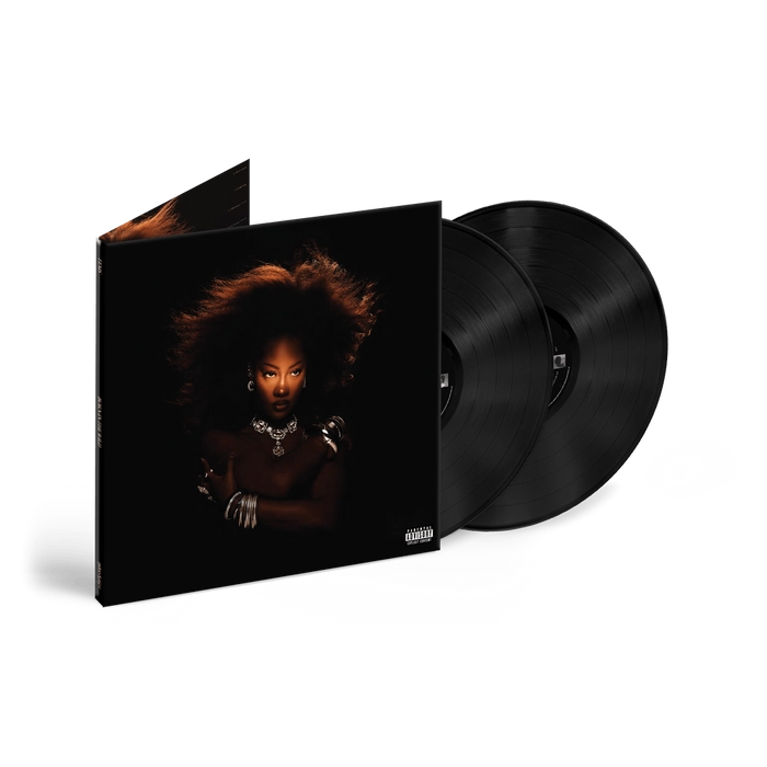 Tems Born In The Wild 2LP レコード Vinyl - Tems - Born in the Wild [Standard Edition] - Diggers Factory