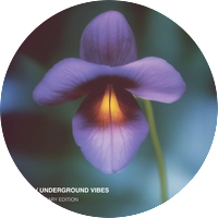 (USED)DJ CAM UNDERGROUND VIBES アナログレコード DJ Cam / Underground Vibes (LP) - silencia music store