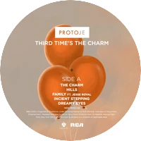 Vinyl - Protoje - Third Time's The Charm - Diggers Factory