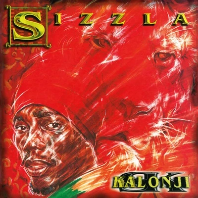 Vinyl - Sizzla - Kalonji - Diggers Factory
