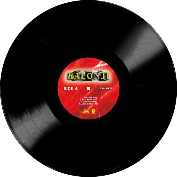 Vinyl - SIZZLA - Kalonji - Diggers Factory