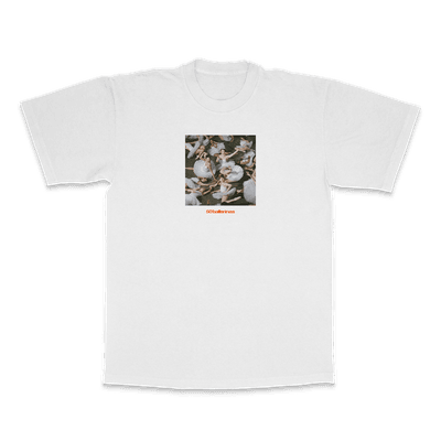 Merch - jigitz - "50 ballerinas" t-shirt 