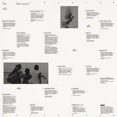 Vinyl - Tems - Born in the Wild [Alternative Edition] - Diggers