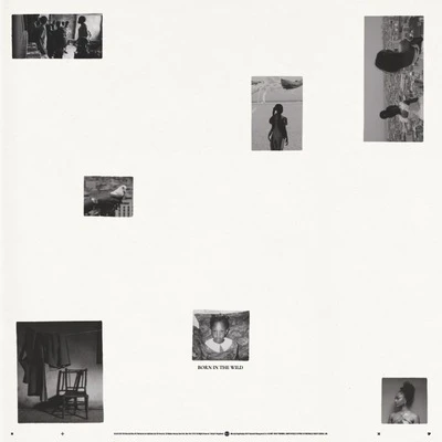 Vinyl - Tems - Born in the Wild [Alternative Edition] - Diggers