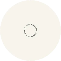 Vinyl - The Fearless Flyers - The Fearless Flyers V (D2C-Exclusive