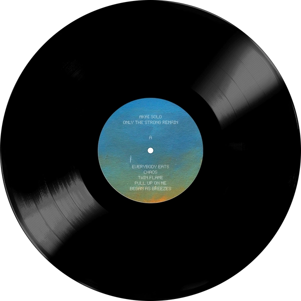 Vinyl - AKAI SOLO - Only The Strong Remain - Diggers Factory