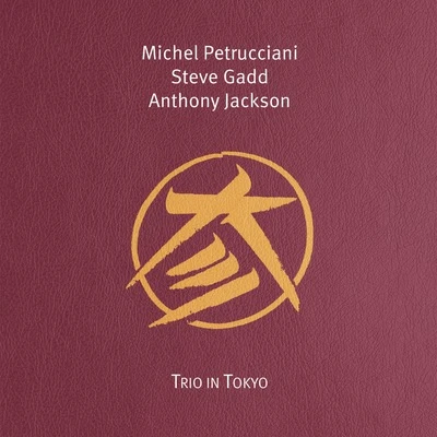 Vinyl - Michel Petrucciani, Steve Gadd & Anthony Jackson - Trio In