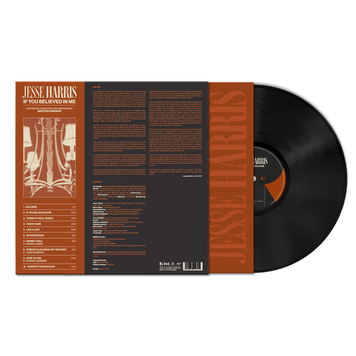 Vinyl - Jesse Harris - If You Believed in Me (hover)