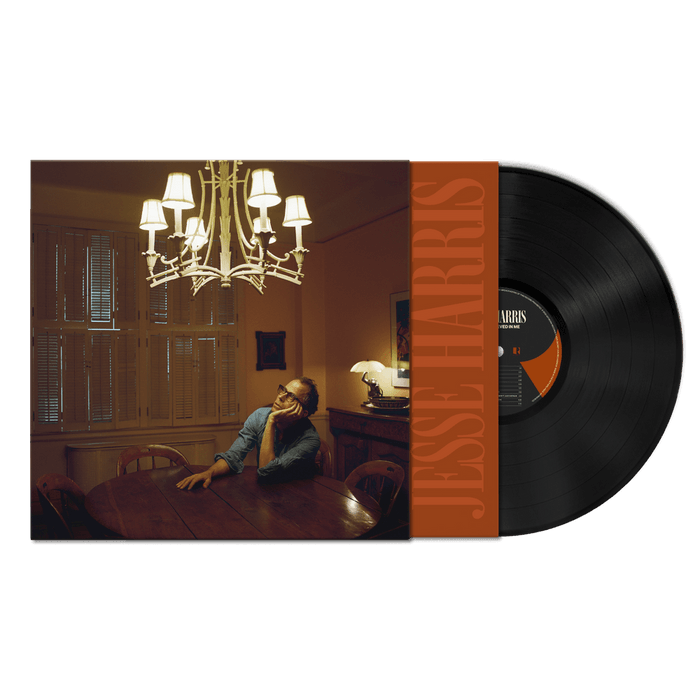 Vinyl - Jesse Harris - If You Believed in Me