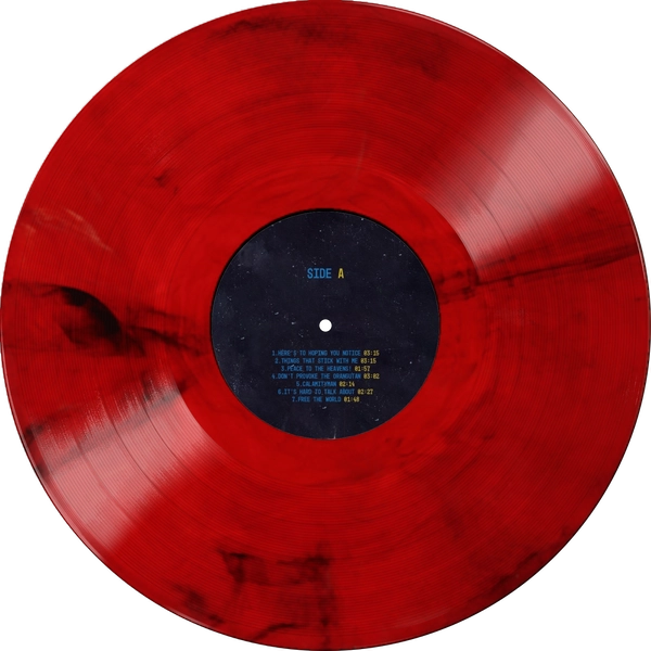 Vinyl - AKAI SOLO - No Control, No Glory - Diggers Factory
