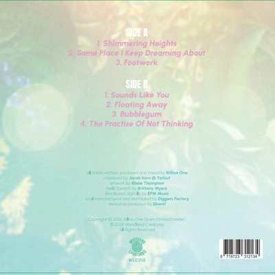 Vinyl - Billion One - Hi Cozy Paradise - Diggers Factory