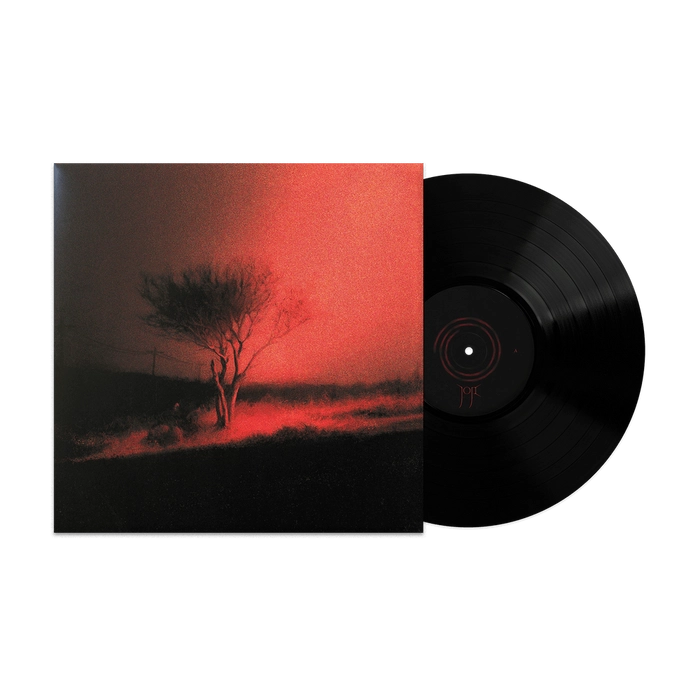 Vinyl - Joji - Piss In The Wind Vinyl - Diggers Factory