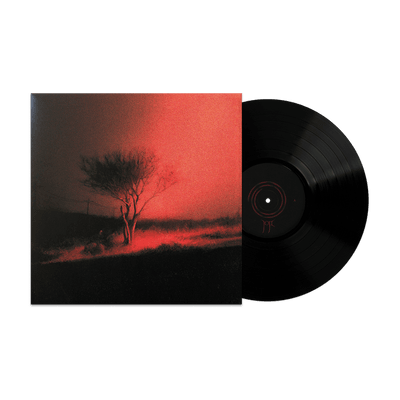 Vinyl - Joji - Piss In The Wind Vinyl