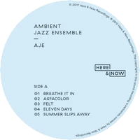Vinyl - Ambient Jazz Ensemble - AJE - Diggers Factory